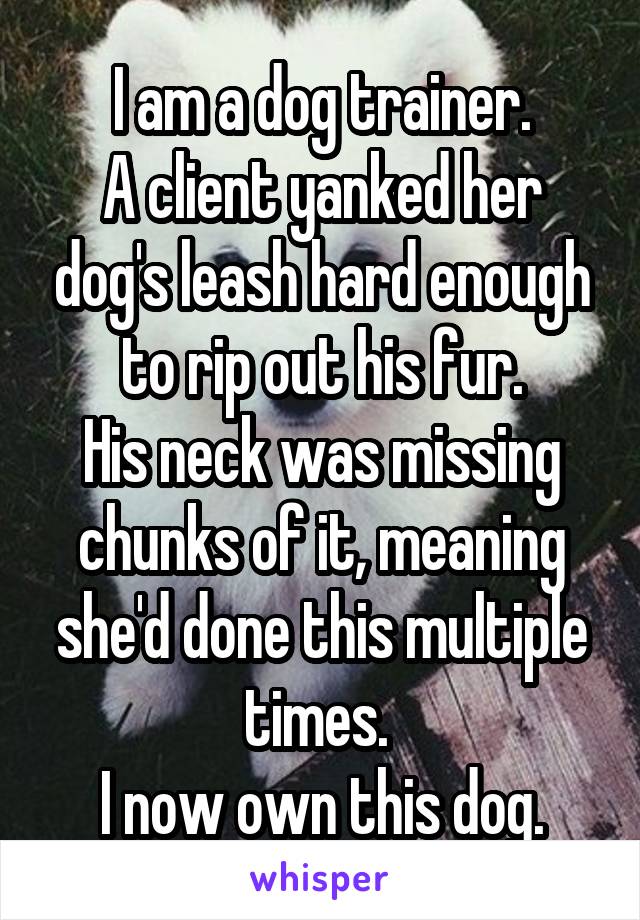 I am a dog trainer.
A client yanked her dog's leash hard enough to rip out his fur.
His neck was missing chunks of it, meaning she'd done this multiple times. 
I now own this dog.