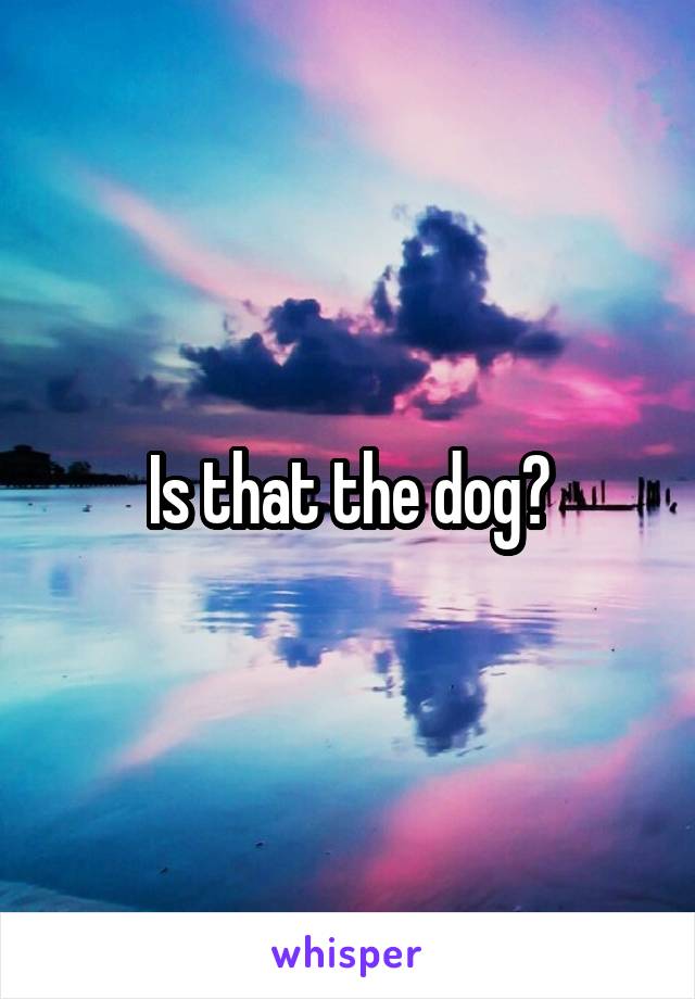 Is that the dog?