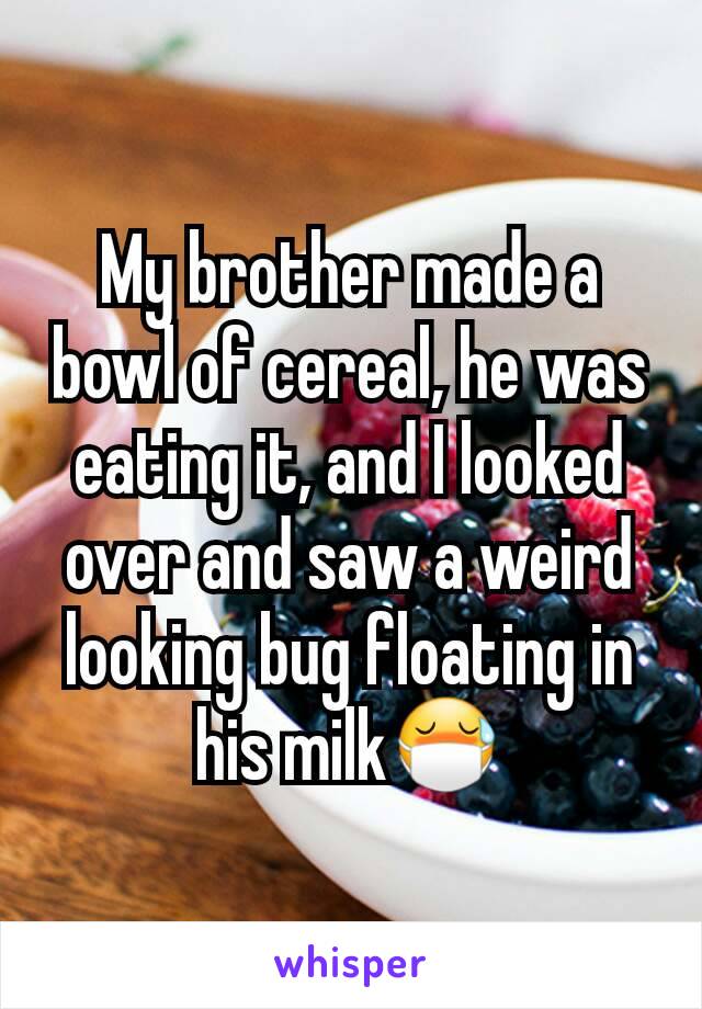 My brother made a bowl of cereal, he was eating it, and I looked over and saw a weird looking bug floating in his milk😷