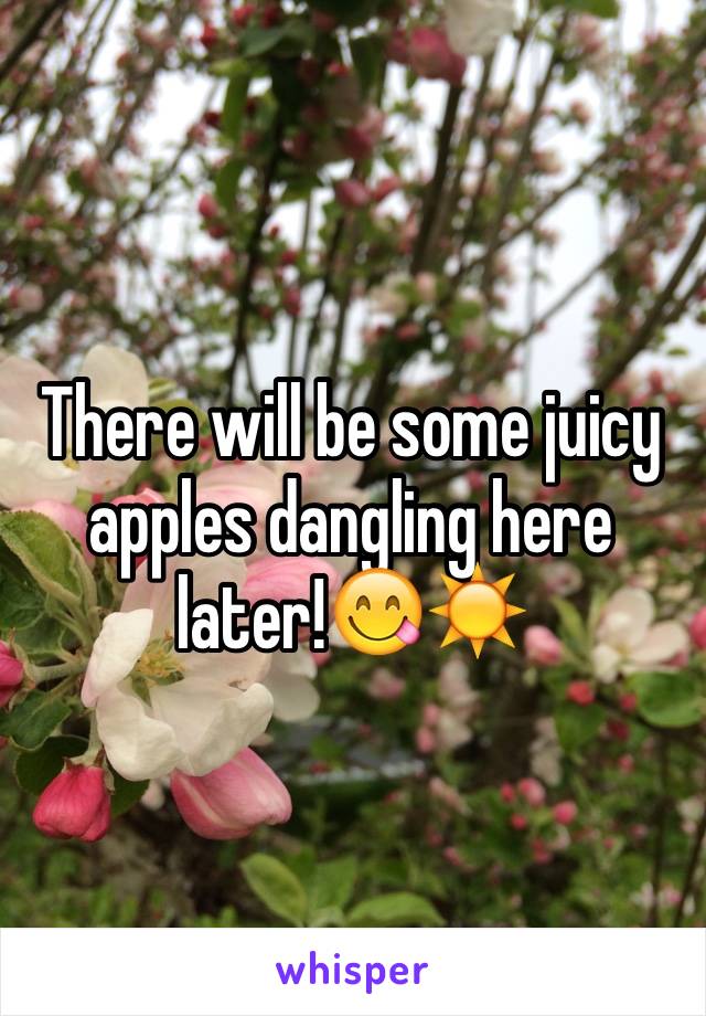 There will be some juicy apples dangling here later!😋☀️