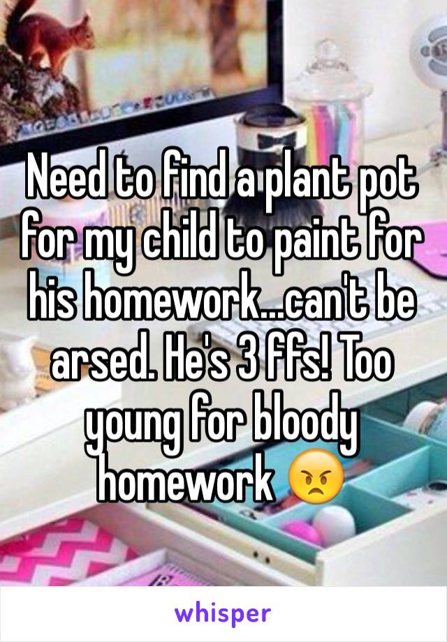 Need to find a plant pot for my child to paint for his homework...can't be arsed. He's 3 ffs! Too young for bloody homework 😠