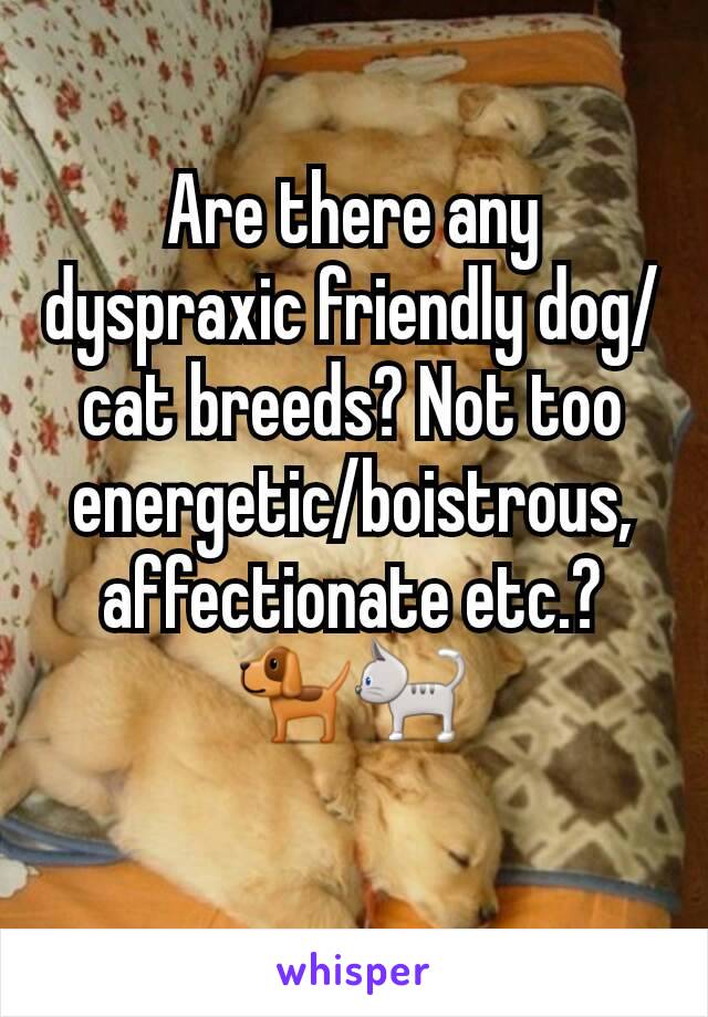 Are there any dyspraxic friendly dog/cat breeds? Not too energetic/boistrous, affectionate etc.? 🐕🐈