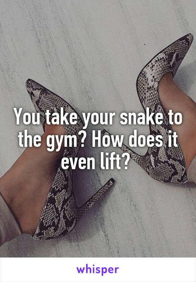 You take your snake to the gym? How does it even lift? 