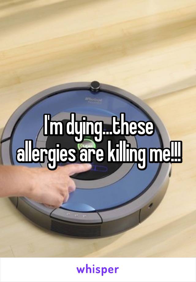 I'm dying...these allergies are killing me!!!