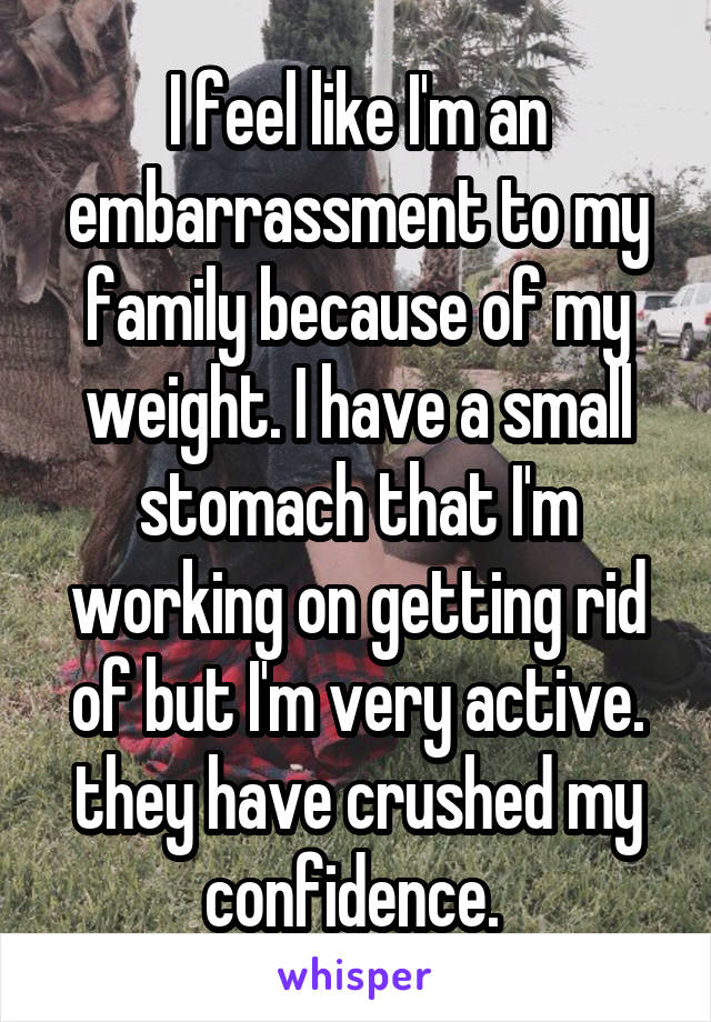 I feel like I'm an embarrassment to my family because of my weight. I have a small stomach that I'm working on getting rid of but I'm very active. they have crushed my confidence. 