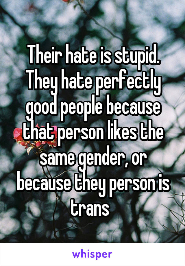 Their hate is stupid. They hate perfectly good people because that person likes the same gender, or because they person is trans  