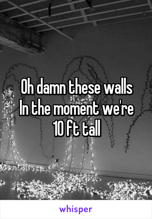 Oh damn these walls
In the moment we're 10 ft tall