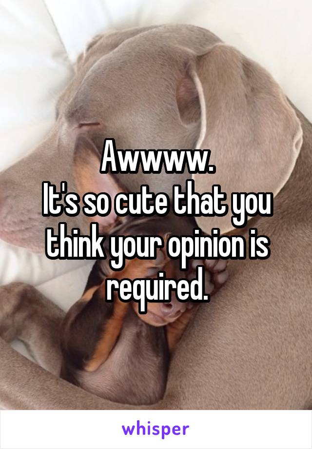 Awwww.
It's so cute that you think your opinion is required.