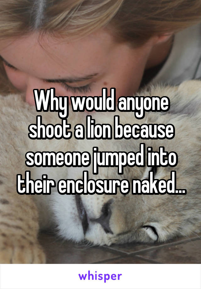 Why would anyone shoot a lion because someone jumped into their enclosure naked...