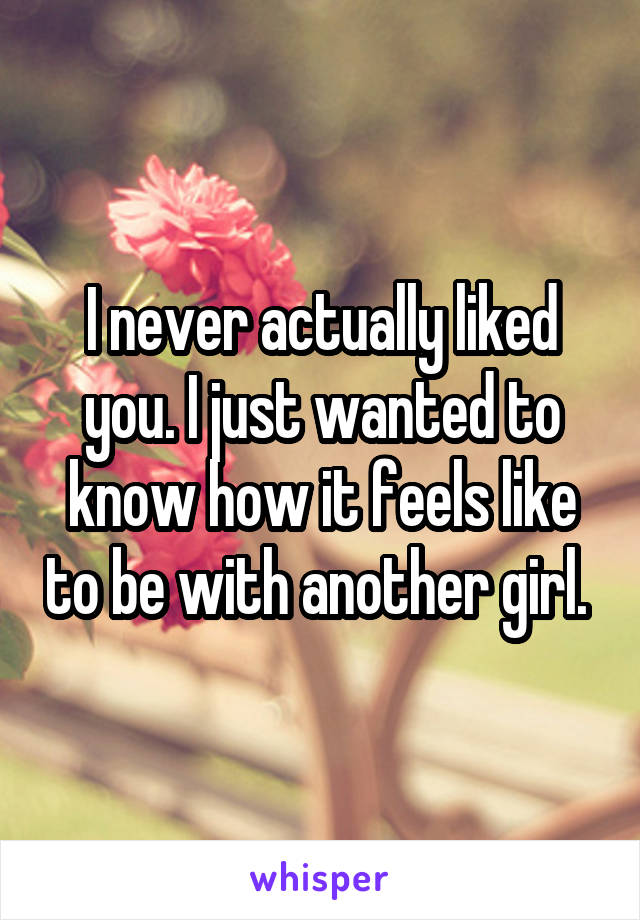 I never actually liked you. I just wanted to know how it feels like to be with another girl. 