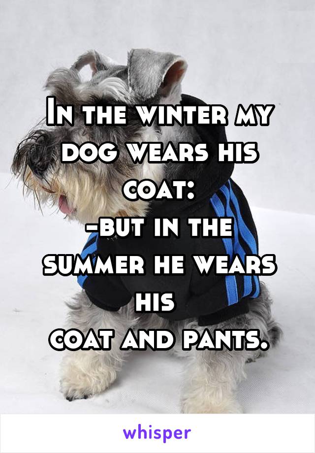 In the winter my dog wears his coat:
-but in the summer he wears his 
coat and pants.