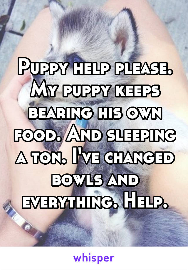 Puppy help please. My puppy keeps bearing his own food. And sleeping a ton. I've changed bowls and everything. Help.