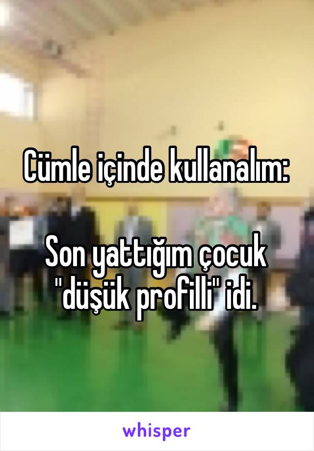 Cümle içinde kullanalım: 

Son yattığım çocuk "düşük profilli" idi.