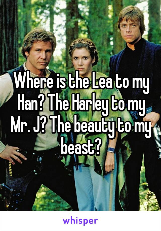 Where is the Lea to my Han? The Harley to my Mr. J? The beauty to my beast?