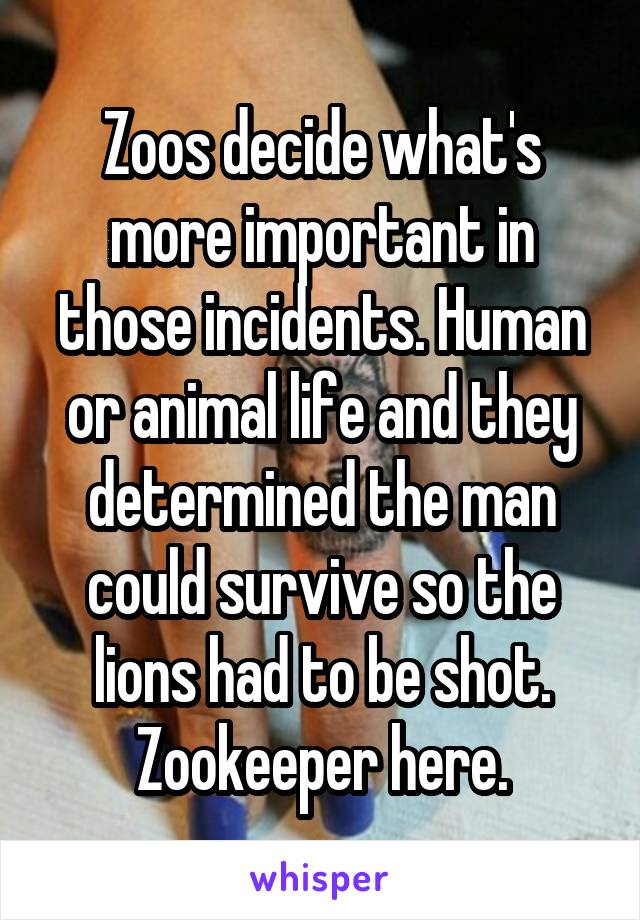 Zoos decide what's more important in those incidents. Human or animal life and they determined the man could survive so the lions had to be shot. Zookeeper here.