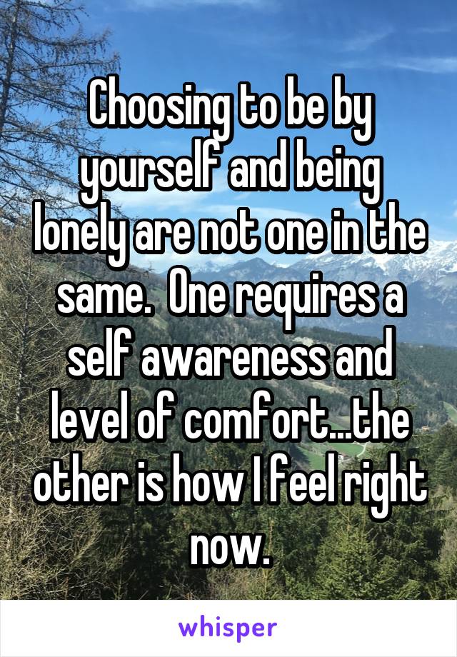 Choosing to be by yourself and being lonely are not one in the same.  One requires a self awareness and level of comfort...the other is how I feel right now.