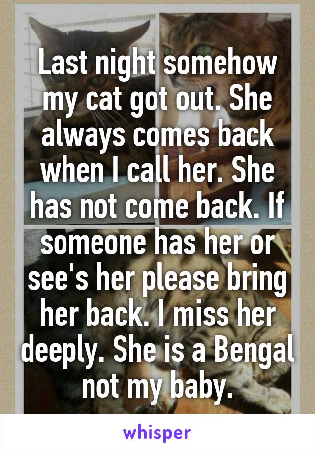 Last night somehow my cat got out. She always comes back when I call her. She has not come back. If someone has her or see's her please bring her back. I miss her deeply. She is a Bengal not my baby.