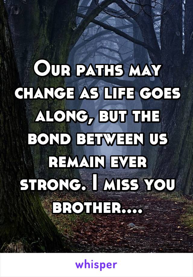 Our paths may change as life goes along, but the bond between us remain ever strong. I miss you brother....