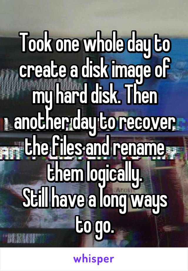 Took one whole day to create a disk image of my hard disk. Then another day to recover the files and rename them logically.
Still have a long ways to go.