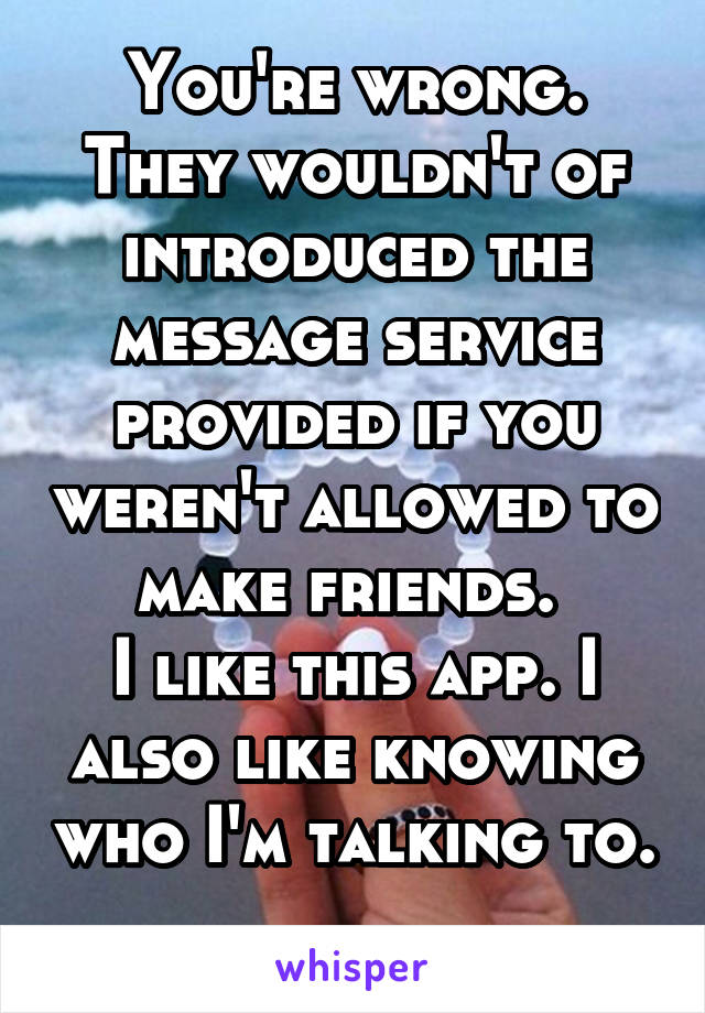 You're wrong. They wouldn't of introduced the message service provided if you weren't allowed to make friends. 
I like this app. I also like knowing who I'm talking to. 