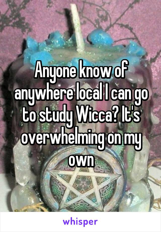 Anyone know of anywhere local I can go to study Wicca? It's overwhelming on my own