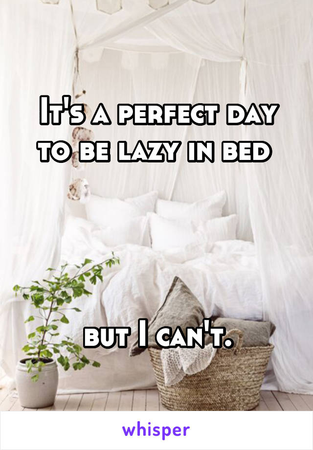 It's a perfect day to be lazy in bed 




but I can't.