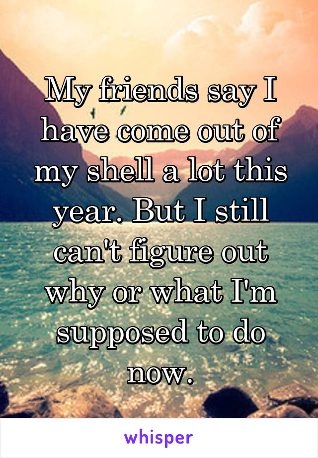 My friends say I have come out of my shell a lot this year. But I still can't figure out why or what I'm supposed to do now.