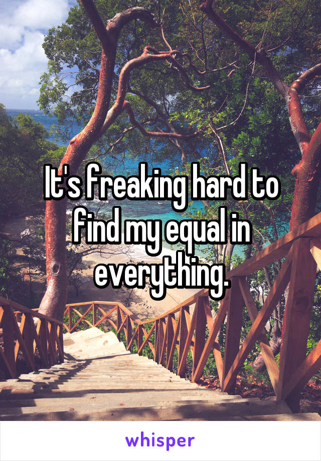 It's freaking hard to find my equal in everything.