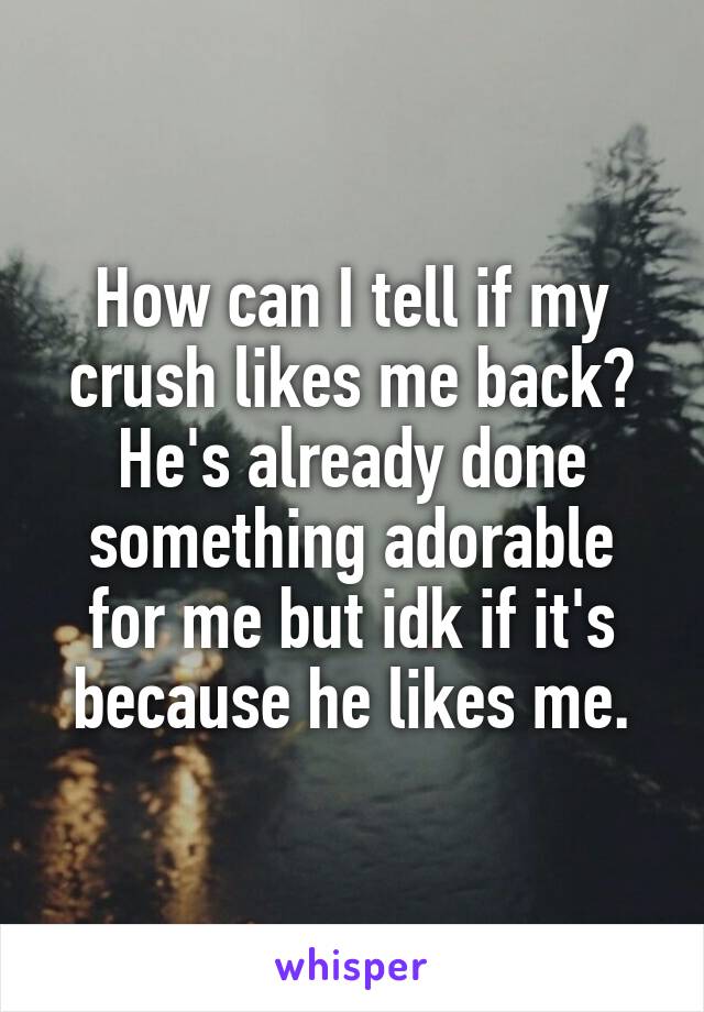 How can I tell if my crush likes me back? He's already done something adorable for me but idk if it's because he likes me.