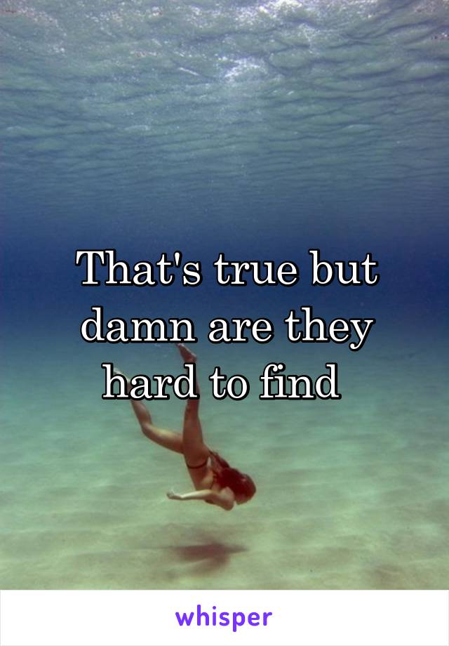 That's true but damn are they hard to find 