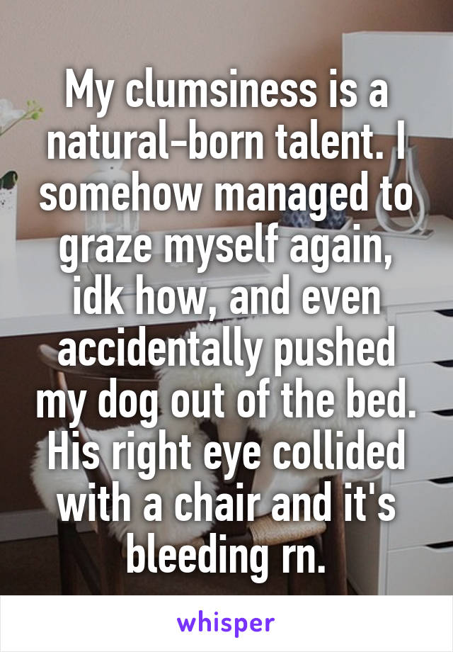 My clumsiness is a natural-born talent. I somehow managed to graze myself again, idk how, and even accidentally pushed my dog out of the bed. His right eye collided with a chair and it's bleeding rn.