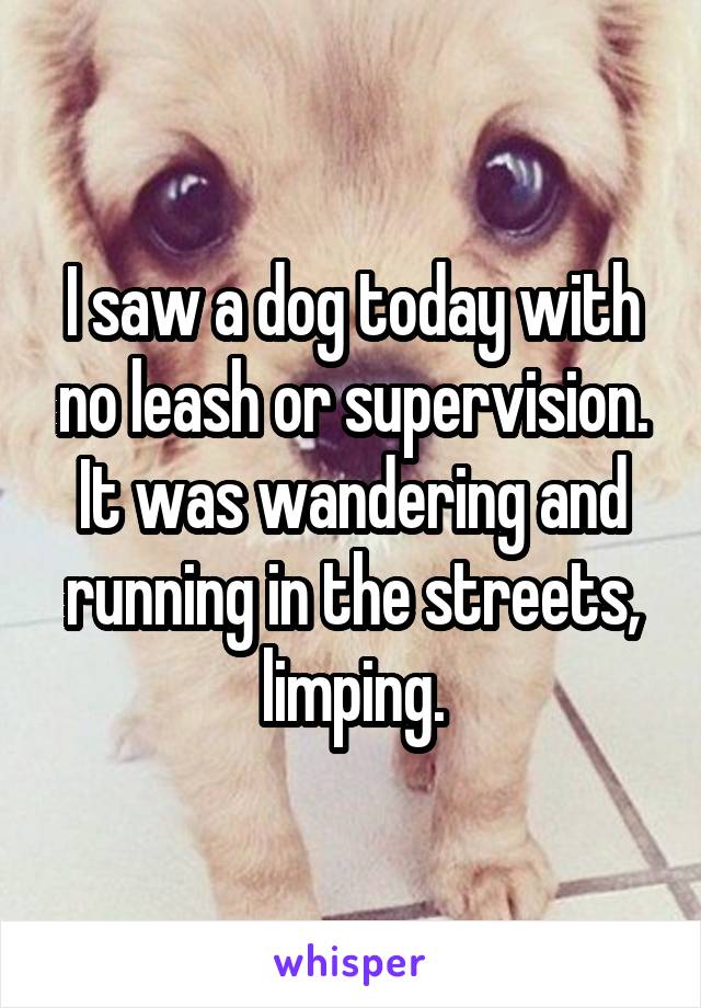 I saw a dog today with no leash or supervision. It was wandering and running in the streets, limping.