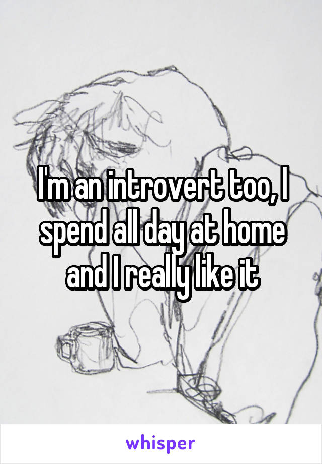 I'm an introvert too, I spend all day at home and I really like it