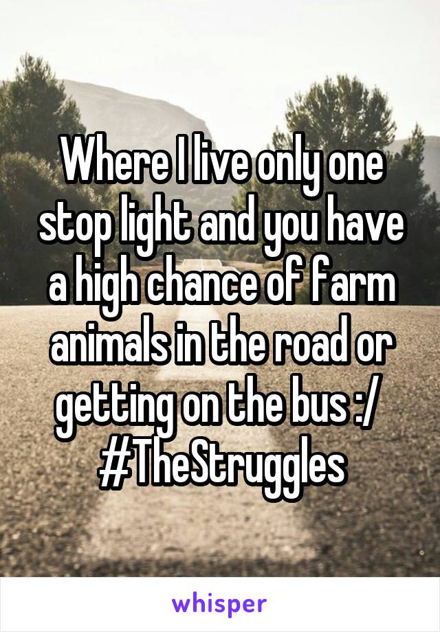 Where I live only one stop light and you have a high chance of farm animals in the road or getting on the bus :/ 
#TheStruggles