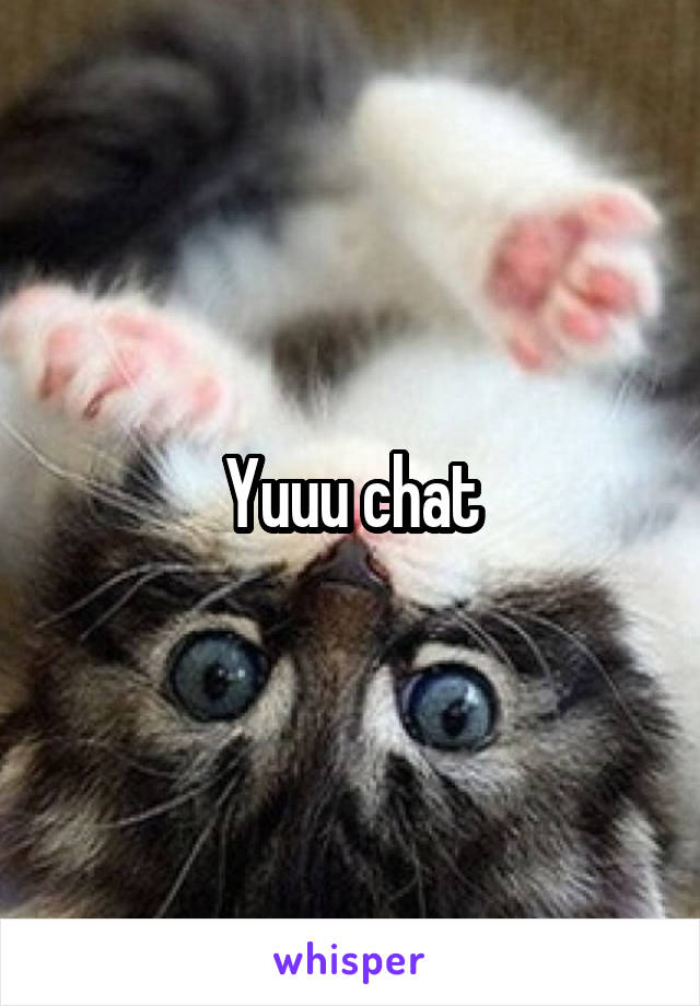 Yuuu chat