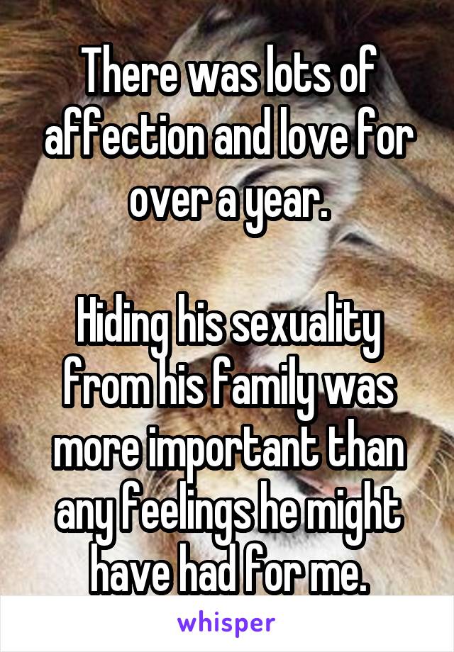 There was lots of affection and love for over a year.

Hiding his sexuality from his family was more important than any feelings he might have had for me.