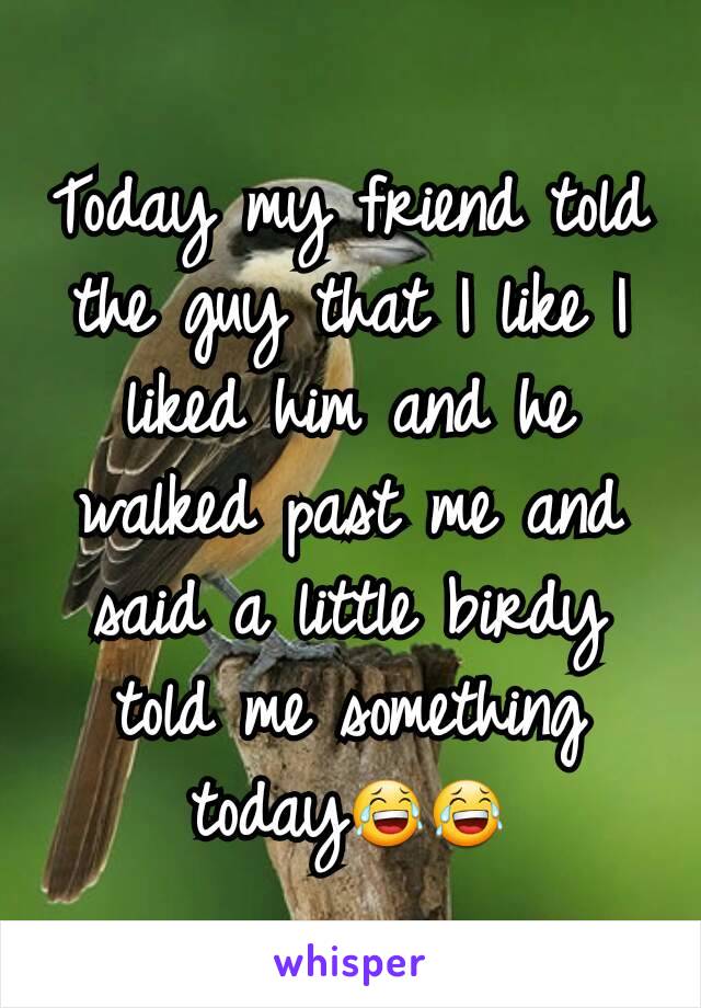 Today my friend told the guy that I like I liked him and he walked past me and said a little birdy told me something today😂😂