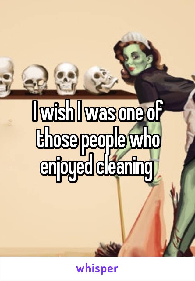 I wish I was one of those people who enjoyed cleaning 