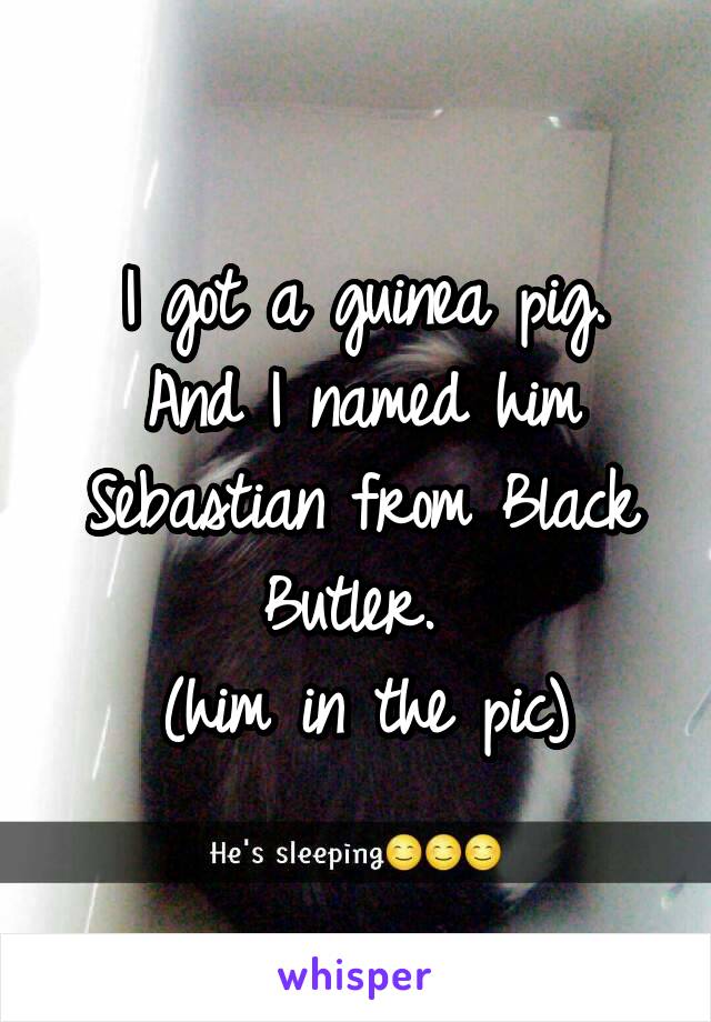 I got a guinea pig.
And I named him Sebastian from Black Butler. 
(him in the pic)