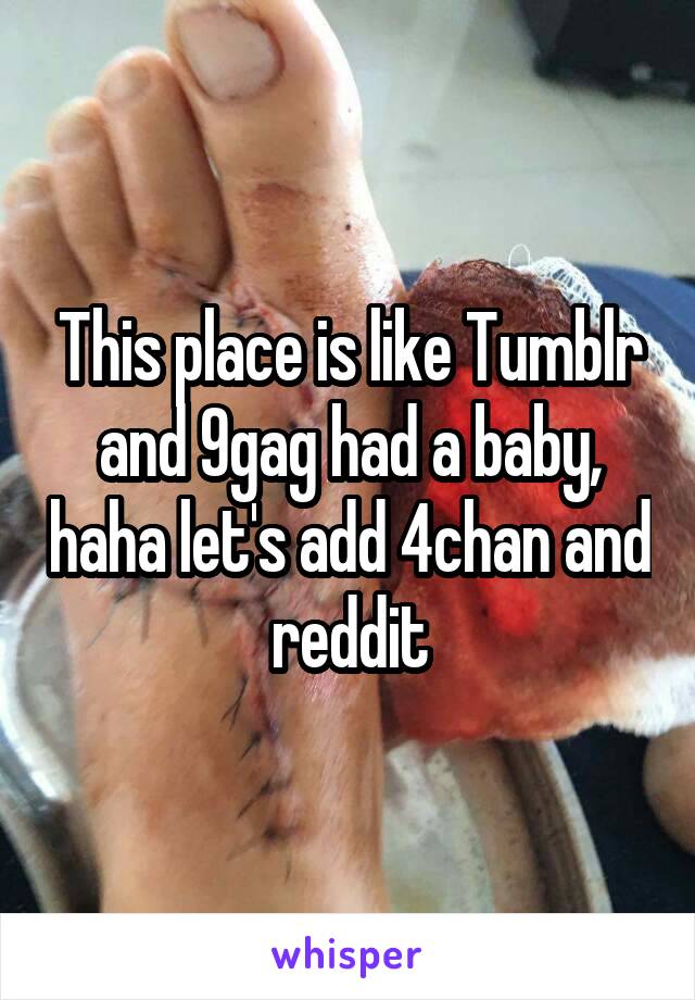 This place is like Tumblr and 9gag had a baby, haha let's add 4chan and reddit