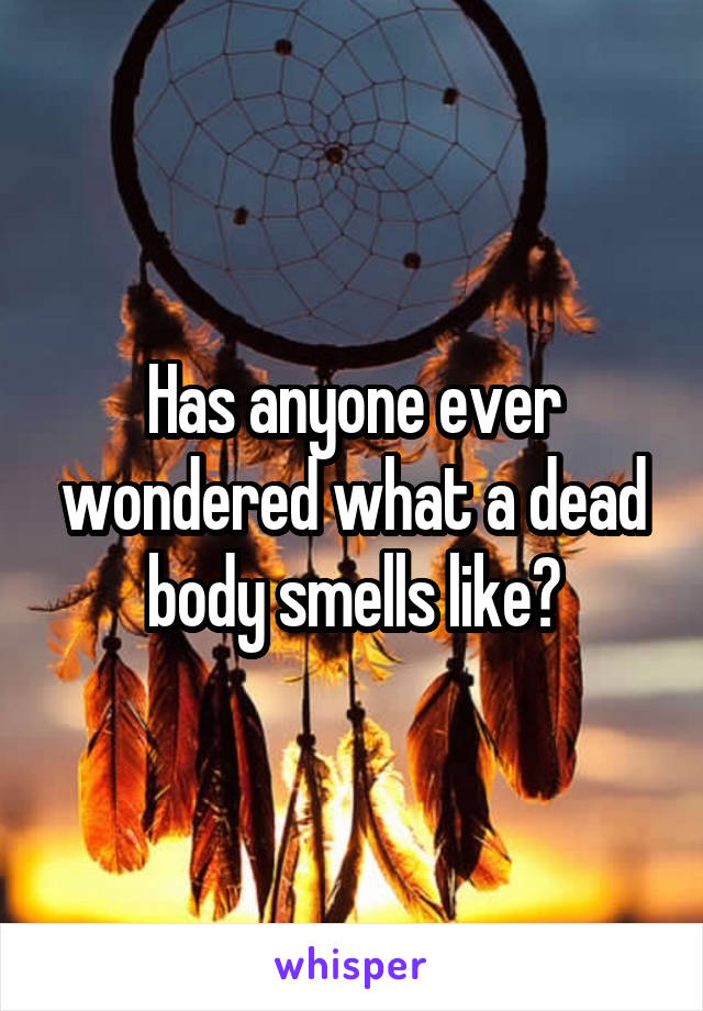 Has anyone ever wondered what a dead body smells like?