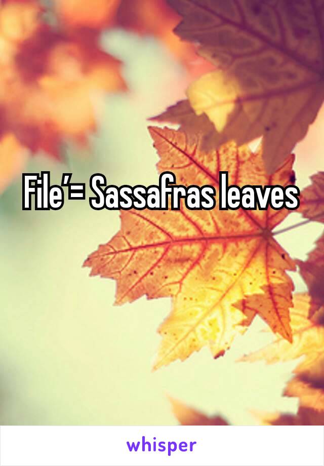 File’= Sassafras leaves