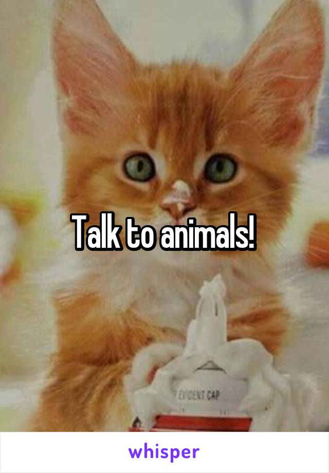 Talk to animals! 