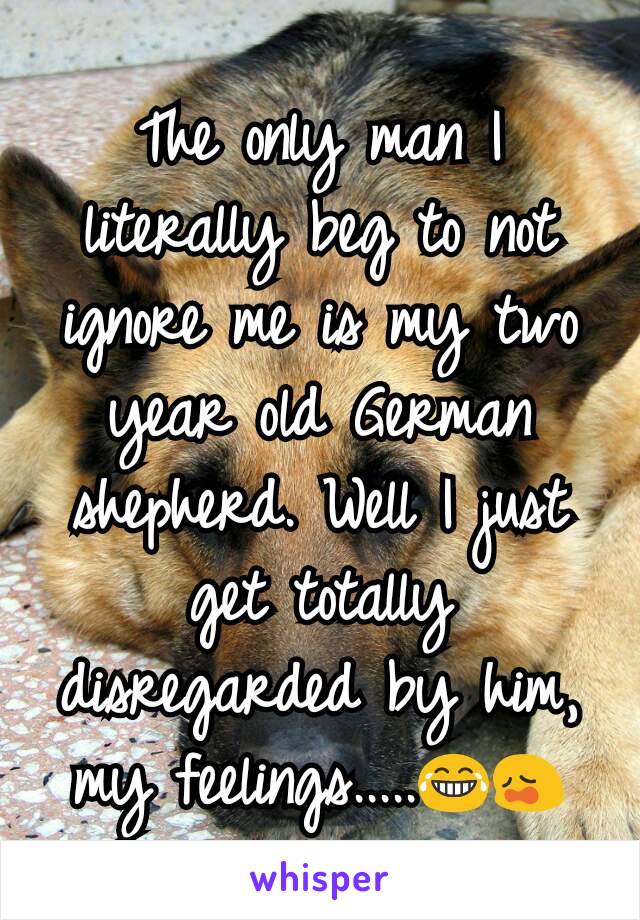 The only man I literally beg to not ignore me is my two year old German shepherd. Well I just get totally disregarded by him, my feelings.....😂😩