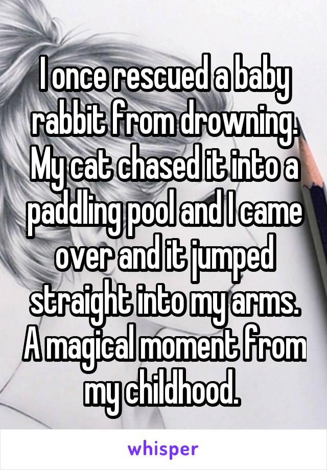 I once rescued a baby rabbit from drowning. My cat chased it into a paddling pool and I came over and it jumped straight into my arms. A magical moment from my childhood. 