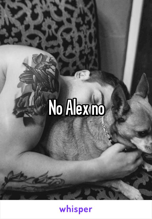 No Alex no