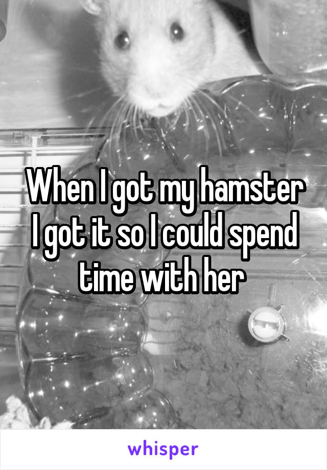 When I got my hamster I got it so I could spend time with her 