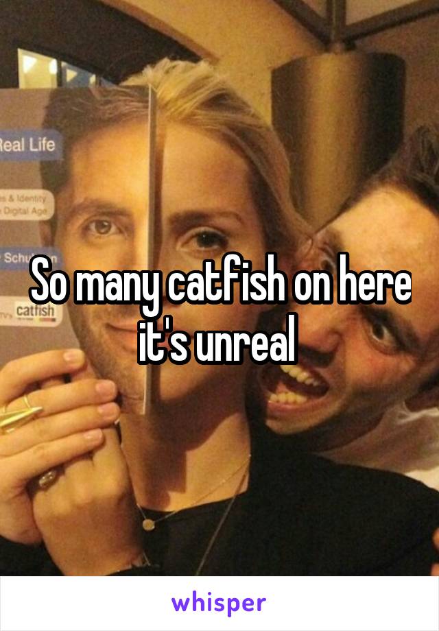 So many catfish on here it's unreal 