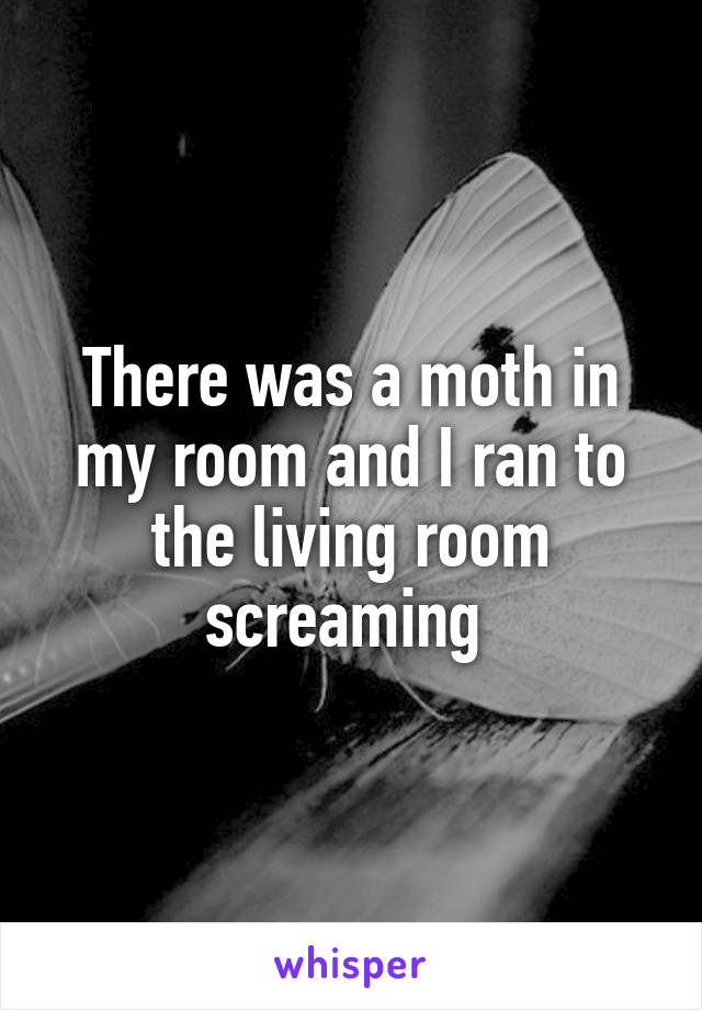 There was a moth in my room and I ran to the living room screaming 