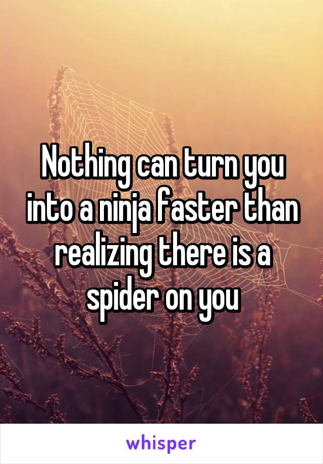 Nothing can turn you into a ninja faster than realizing there is a spider on you